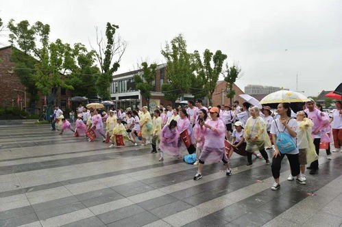 百年传承跟党走 红色地标九里行 九里亭街道党史教育主题线路发布暨城市地标定向赛圆满举办