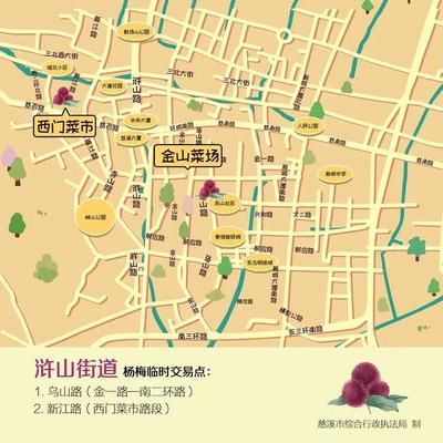 在慈溪买新鲜杨梅,到这里→