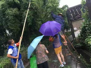 利奇马 来势汹汹,慈溪青年逆风而行,抗战一线